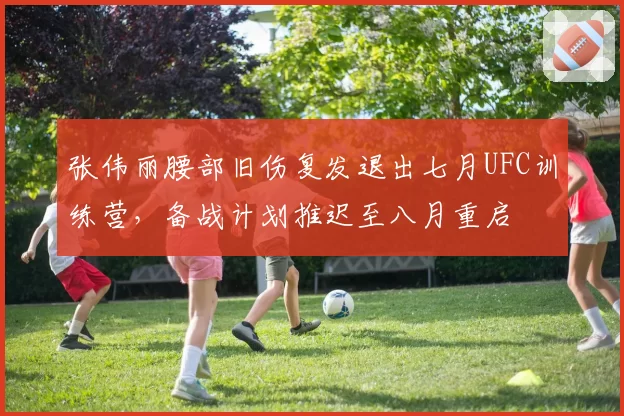 张伟丽腰部旧伤复发退出七月UFC训练营,备战计划推迟至八月重启