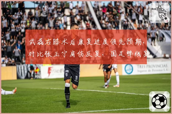 武磊右膝术后康复进度领先预期，对比张玉宁肩伤反复，国足锋线复出时间表分化明显