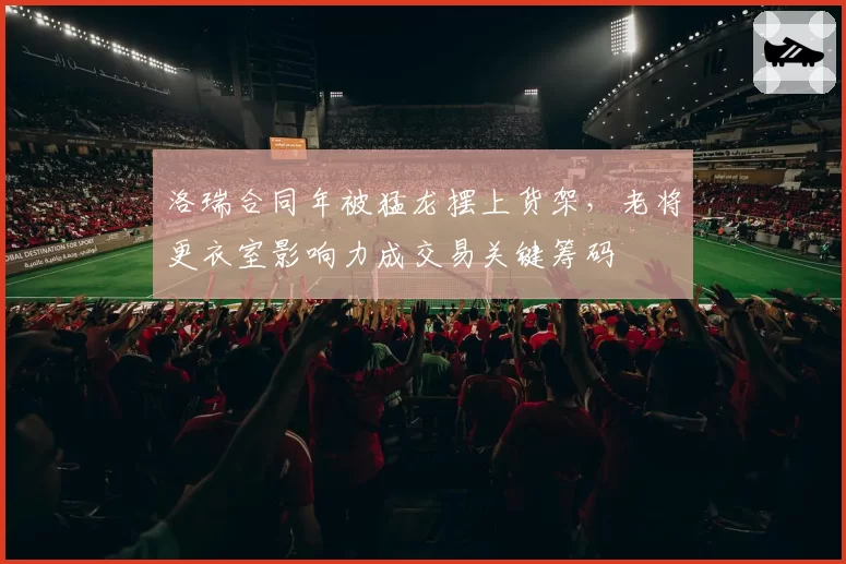 洛瑞合同年被猛龙摆上货架,老将更衣室影响力成交易关键筹码