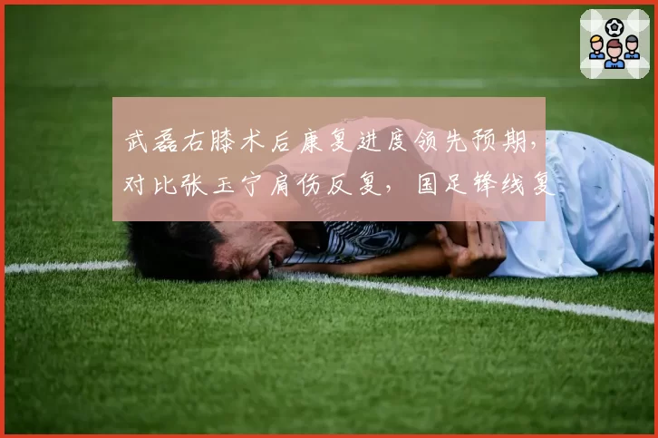 武磊右膝术后康复进度领先预期,对比张玉宁肩伤反复,国足锋线复出时间表分化明显